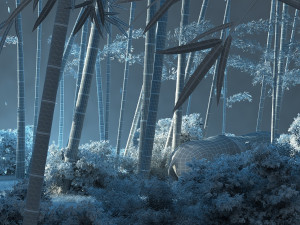 panda Model 3D