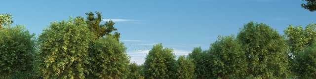 forest 3D Модель .c4d .max .obj .3ds .fbx .stl .blend 