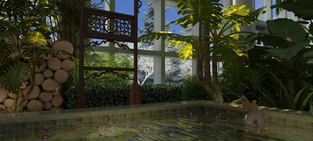 spa 3D Model .c4d .max .obj .3ds .fbx .stl .blend 