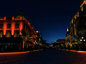 harbin night view 3D Model