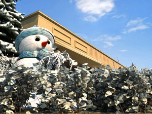 hotel de invierno Modelo 3D