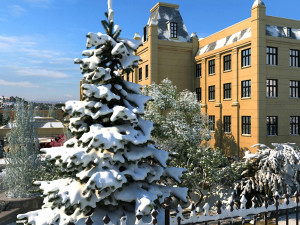 winter hotel 3D Model