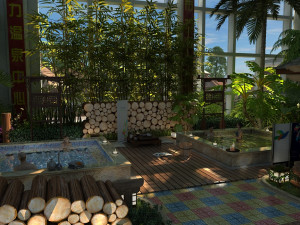 hot spring house Modelo 3D
