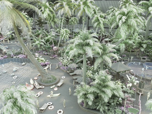 rainforest 3D Model