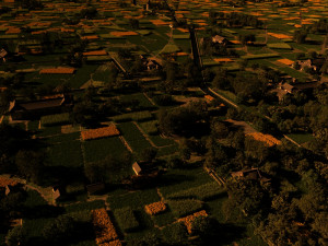 field Modèle 3D