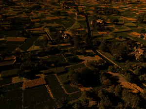 field 3D Model
