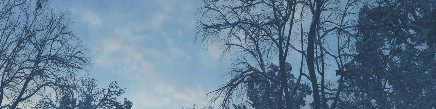 snow scene 3D Model .c4d .max .obj .3ds .fbx .stl .blend
