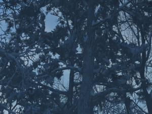 snow scene 3D 모델