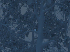 snow scene 3D Model