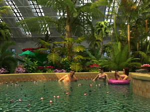 spa 3D Model