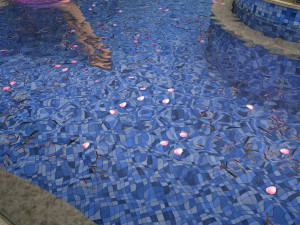 fish pool 3Dモデル