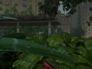 ladybug 3D Model