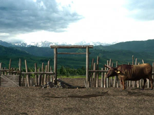 primitive tribe 3D Model