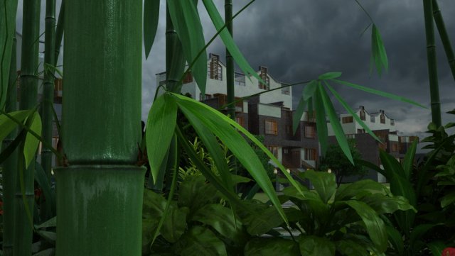 bamboo Model 3D .c4d .max .obj .3ds .fbx .stl .blend 