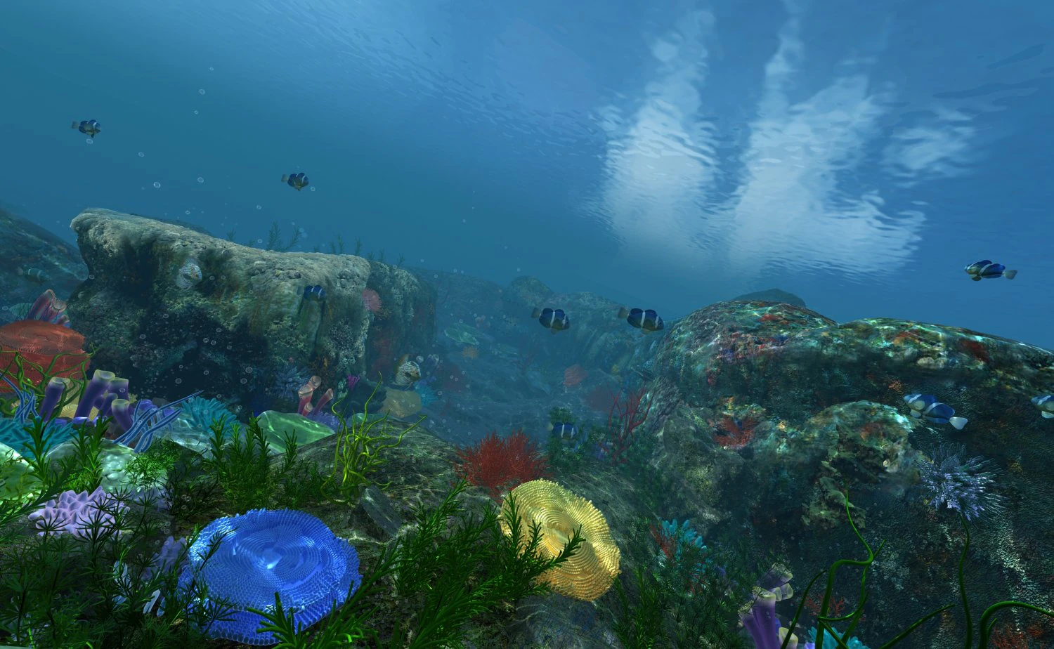 seabed 3D Model .c4d .max .obj .3ds .fbx .stl .blend 
