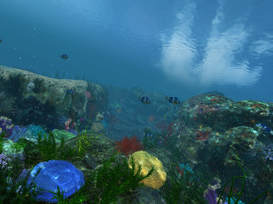 seabed 3D Model