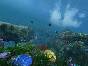seabed 3D Model