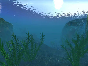 seabed 3D Model