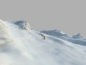 primitive Modèle 3D