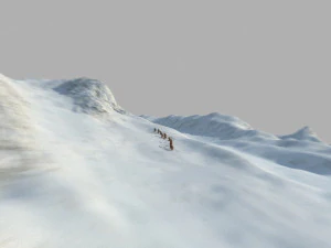primitive 3D Model