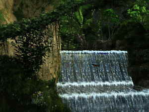 rain forest Modèle 3D