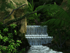 rain forest Modello 3D