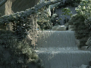 rain forest 3D Model