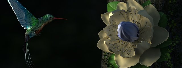 hummingbird 3D Модель .c4d .max .obj .3ds .fbx .stl .blend 
