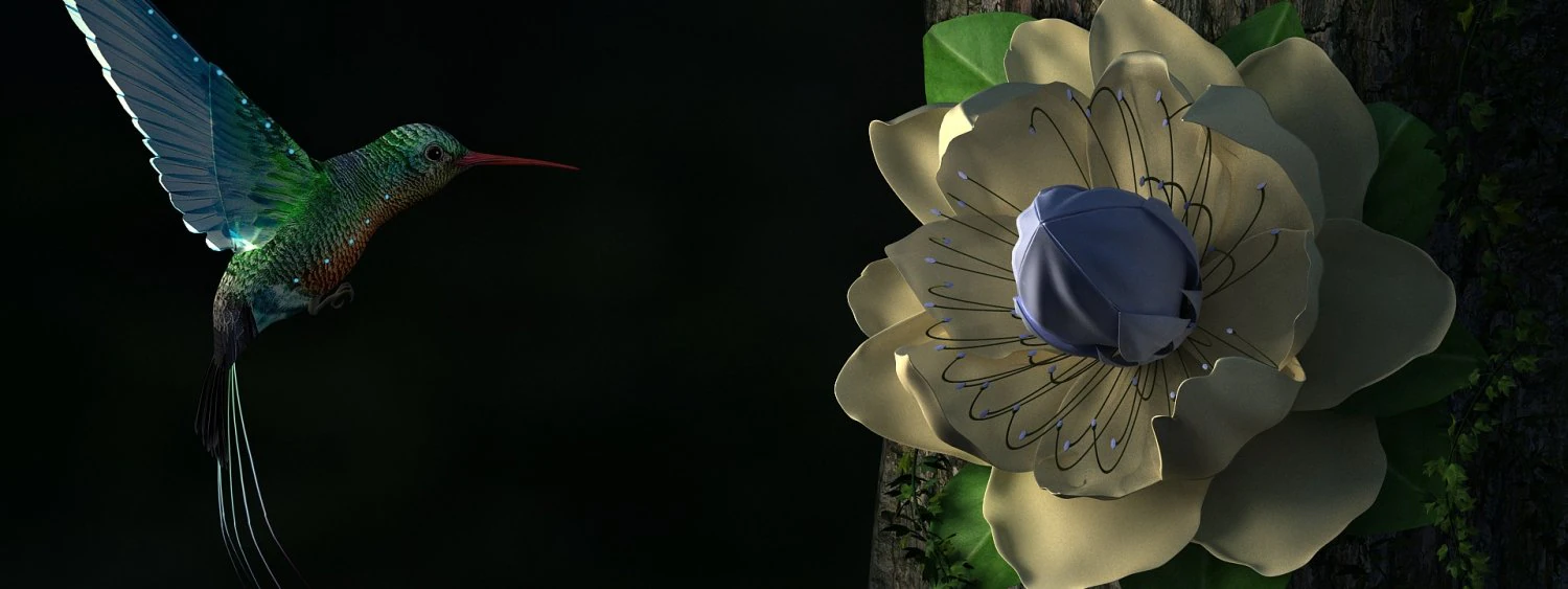 colibr&igrave; Modello 3D .c4d .max .obj .3ds .fbx .stl .blend 