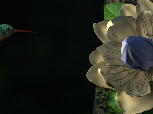hummingbird 3D Модель