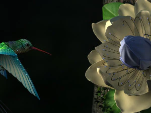 colibr&igrave; Modello 3D