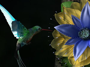 colibr&igrave; Modello 3D