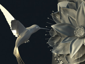 hummingbird 3D Модель