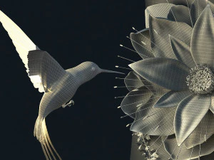 colibr&igrave; Modello 3D