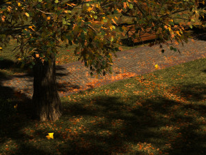 park 3D 모델