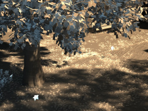 park 3D 모델