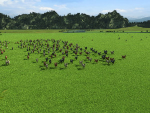 racecourse Modelo 3D