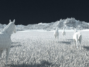 racecourse 3D 模型