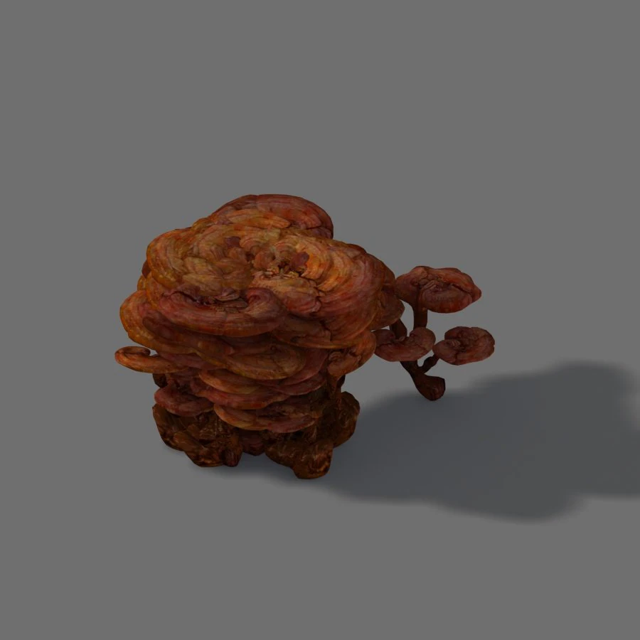 灵芝 3D 模型 .c4d .max .obj .3ds .fbx .stl .blend 