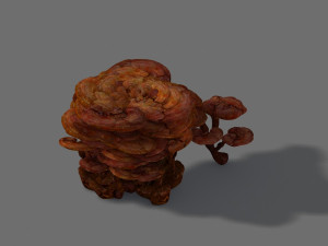 ganoderma 3D Model