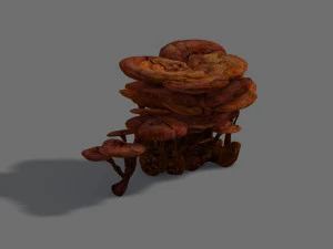灵芝 3D 模型