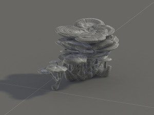 ganoderma Modello 3D