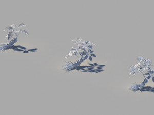 ginseng 3D Model