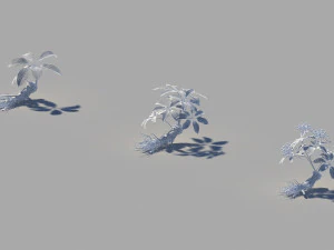 ginseng 3D Model