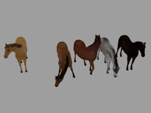 hores 3D 모델