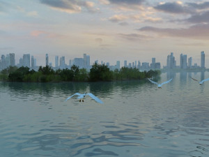 riverside 3Dモデル