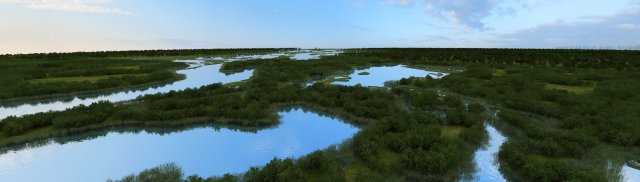 wetlands 3D Model .c4d .max .obj .3ds .fbx .stl .blend 