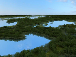 wetlands 3D Model