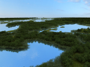 wetlands 3D Model