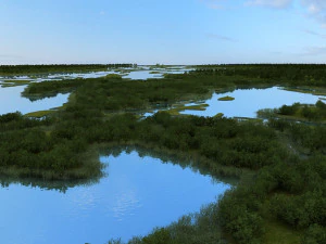 wetlands 3D Model